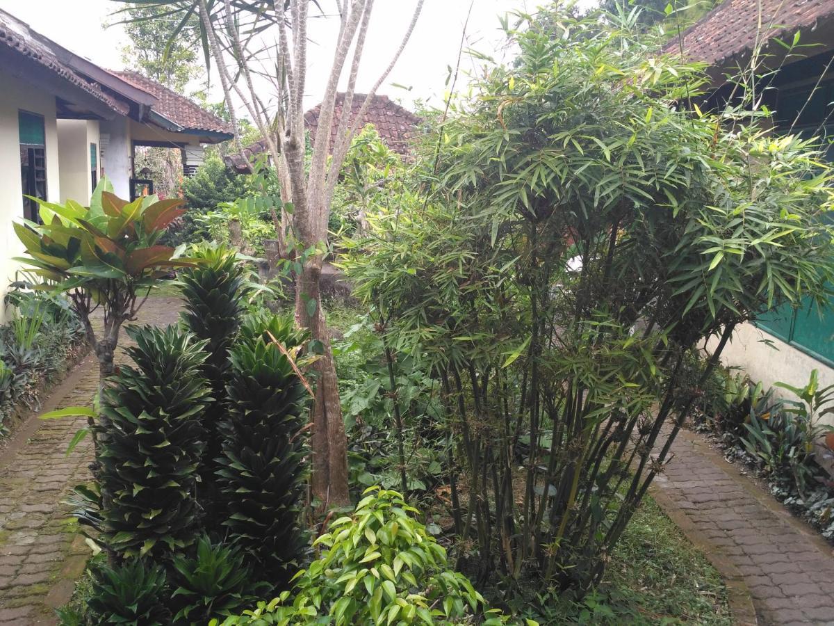 Dhangin Taman 卡朗阿森 外观 照片