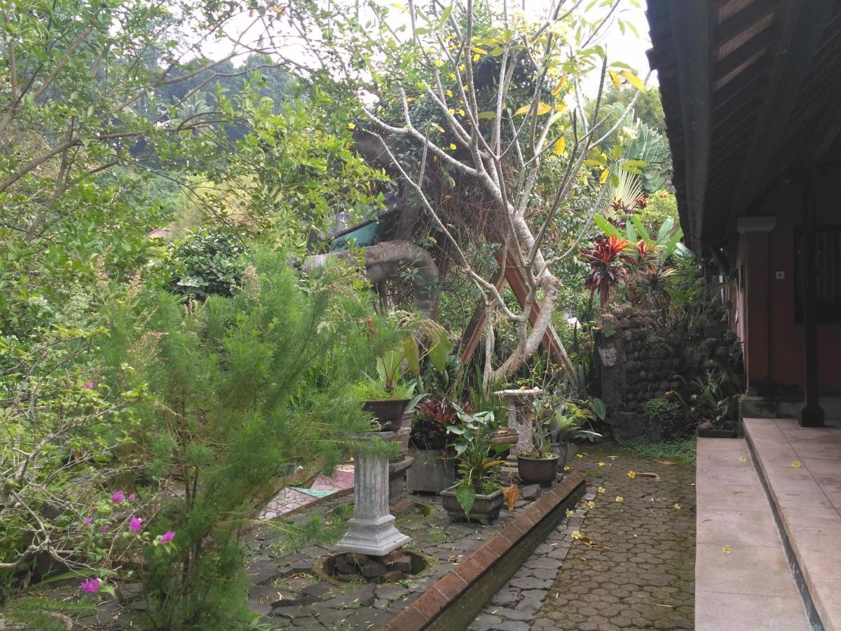 Dhangin Taman 卡朗阿森 外观 照片